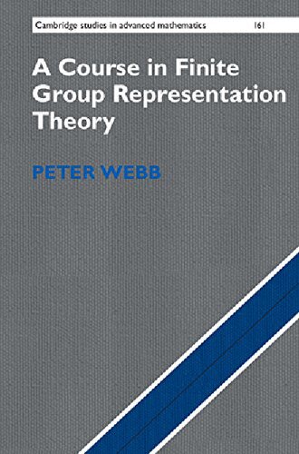 A Course in Finite Group Representation Theory (Cambridge Studies in Advanced Mathematics)