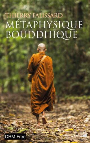 Métaphysique bouddhique