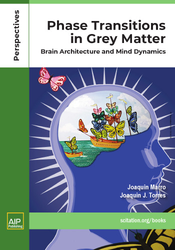 hase Transitions in Grey Matter Brain Architecture and Mind Dynamics