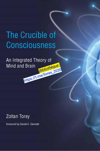 The Crucible of Consciousness: An Integrated Theory of Mind and Brain