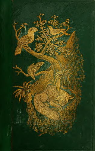 The geographical distribution of animals