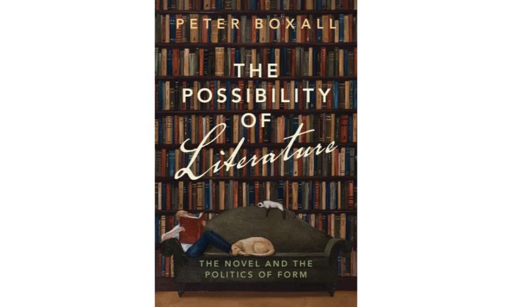 The Possibility of Literature: The Novel and the Politics of Form