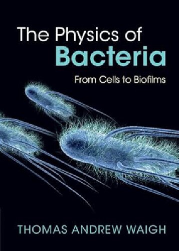 The Physics of Bacteria: From Cells to Biofilms