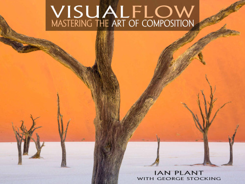 Visual Flow: Mastering the Art of Composition