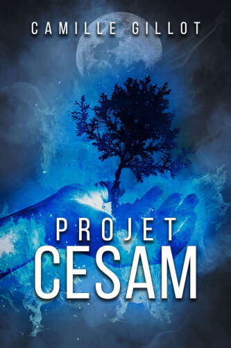 Projet CESAM