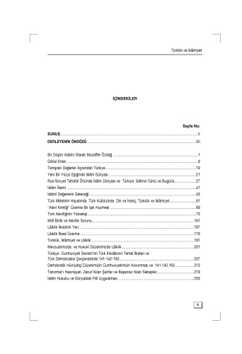 Turkluk ve Islamiyet