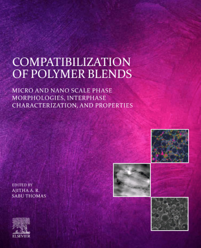 Compatibilization of Polymer Blends: Micro and Nano Scale Phase Morphologies, Interphase Characterization, and Properties