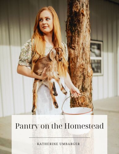 Pantry on the Homestead