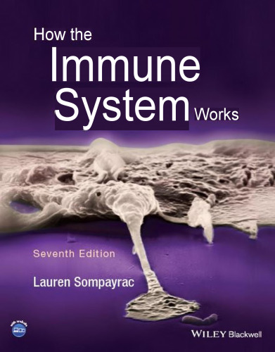 How the Immune System Works