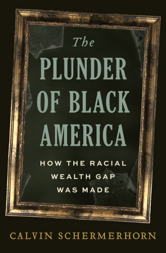 The Plunder of Black America : How the Racial Wealth Gap Was Made