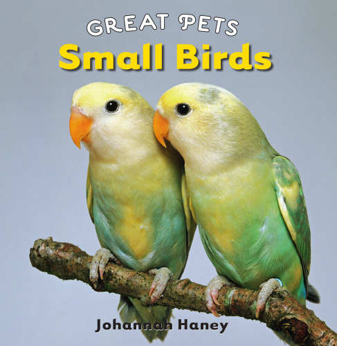 Small Birds (Great Pets)