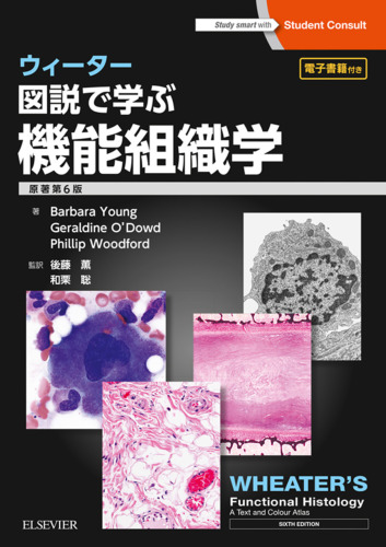 ウィーター　図説で学ぶ機能組織学　原著第6版