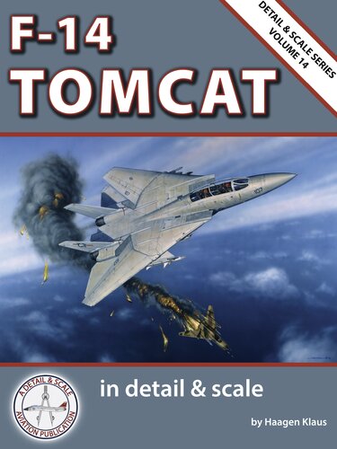 F-14 Tomcat Detail and scale