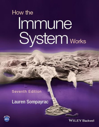 How the Immune System Works