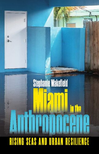 Miami in the Anthropocene : Rising Seas and Urban Resilience