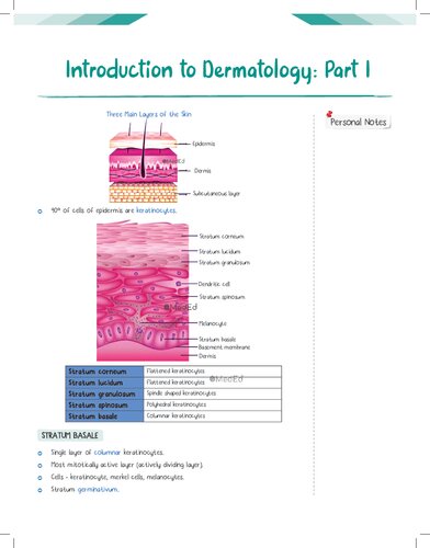 Physics Wallah MedEd Notes Dermatology