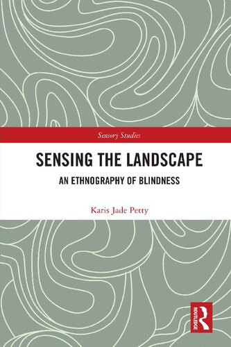 Sensing the Landscape : An Ethnography of Blindness