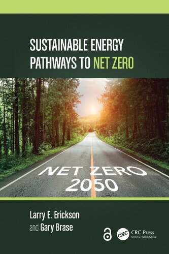 Sustainable Energy Pathways to Net Zero