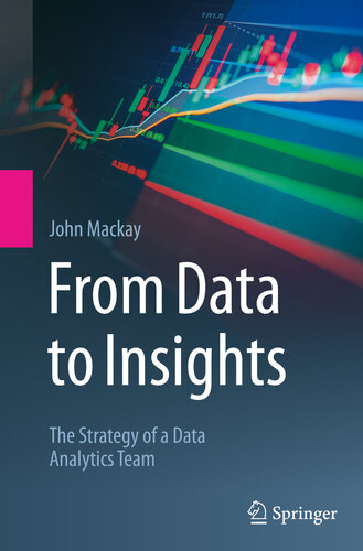 From Data to Insights : The Strategy of a Data Analytics Team
