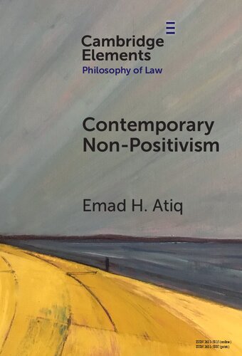 Contemporary Non-Positivism