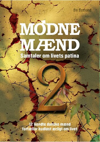 Modne mænd 2: samtaler om livets patina: 14 kendte danske mænd fortæller hudløst ærligt om livet