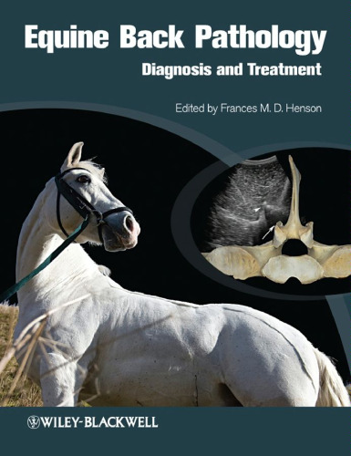 Equine Back Pathology: Diagnosis and Treatment