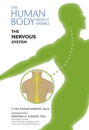 The Nervous System (The Human Body, How It Works)