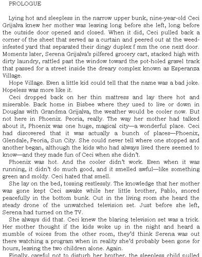 Shoot Don't Shoot: A Joanna Brady Mystery