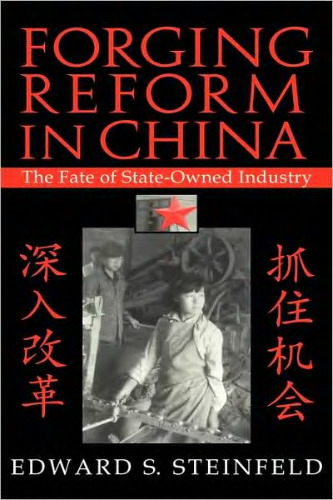 Forging Reform in China: The Fate of State-Owned Industry (Cambridge Modern China Series)