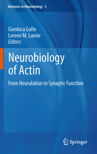 Neurobiology of Actin: From Neurulation to Synaptic Function