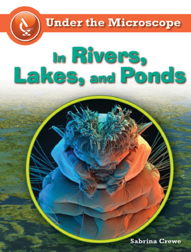 In Rivers, Lakes, and Ponds (Under the Microscope)
