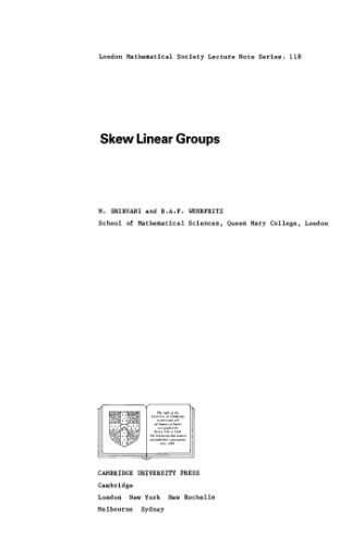Skew Linear Groups