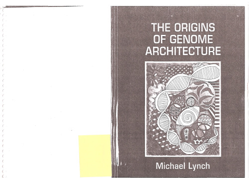 The Origins of Genome Architecture