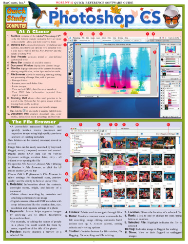 Photoshop CS (Quickstudy: Computer)