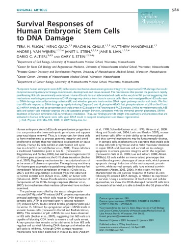 Survival Responses of Human Embryonic Stem Cells to DNA Damage (Article)
