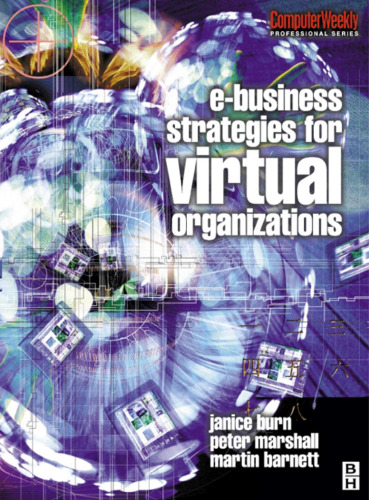 e-Business Strategies for Virtual Organizations (Computer Weekly Professional)