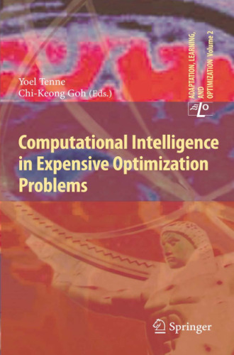 Computational Intelligence in Expensive Optimization Problems