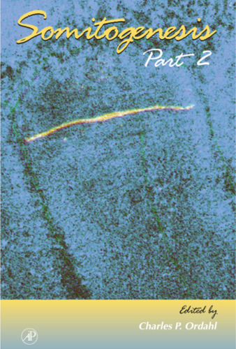 Somitogenesis: Part 2