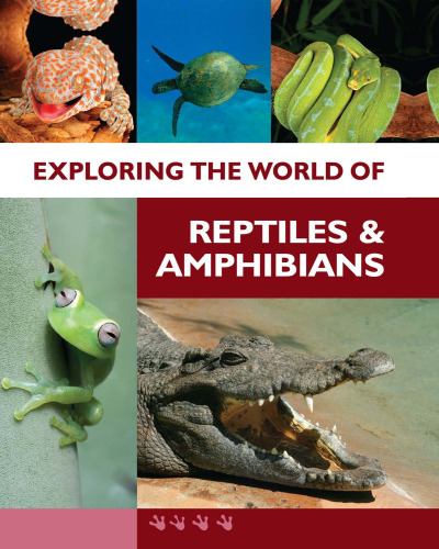 Exploring the World of Reptiles and Amphibians