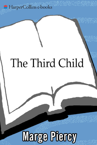 The Third Child: A Novel