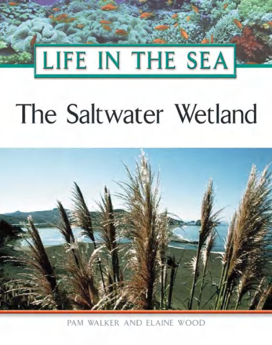 The Saltwater Wetland (Life in the Sea)