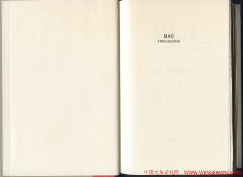 Mao: A Reinterpretation