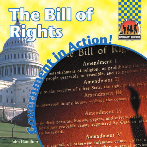 The Bill Of Rights (Government in Action!)