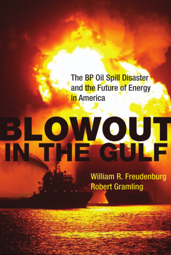 Blowout in the Gulf: The BP Oil Spill Disaster and the Future of Energy in America