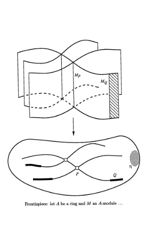Undergraduate Commutative Algebra