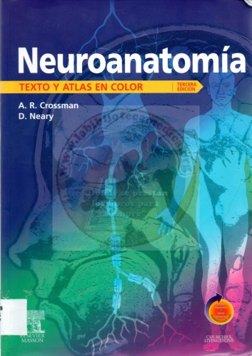 Neuroanatomia