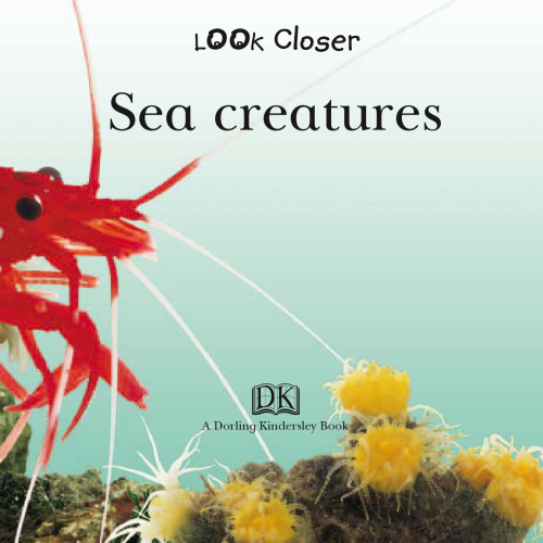 Sea Creatures (Look Closer)
