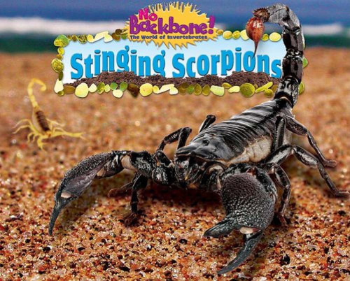 Stinging Scorpions (No Backbone! the World of Invertebrates)