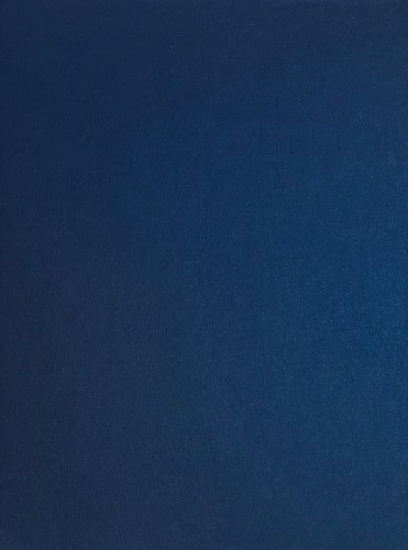 Fiber Art; Oral History Transcript: Visual Thinking and the Intelligent Hand