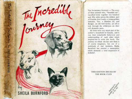 The Incredible Journey